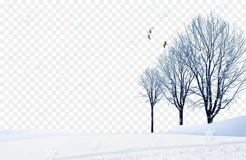 雪里的风景
