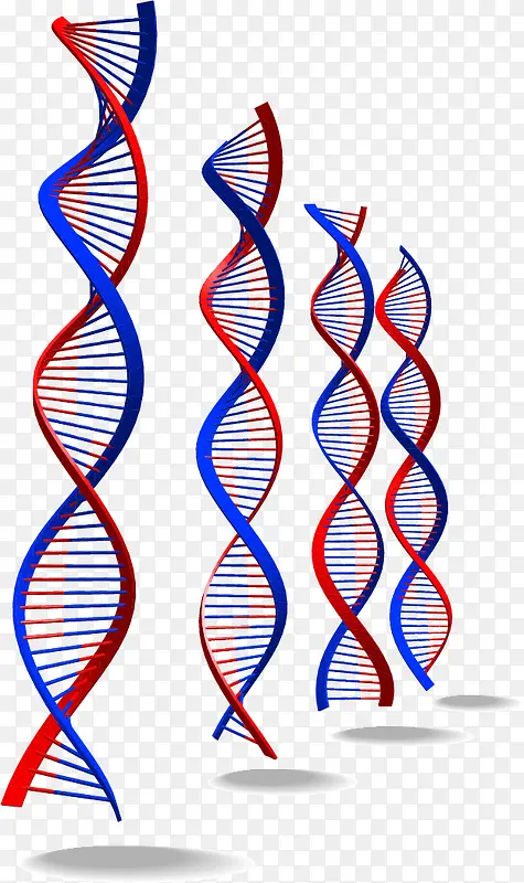 DNA螺旋图案