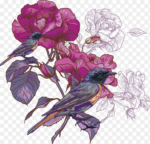 牡丹喜鹊印花矢量图