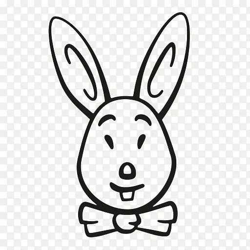 动物胡萝卜庆典复活节快乐头兔复