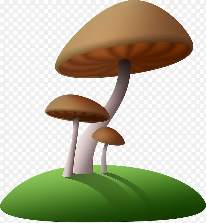 小岛上的蘑菇