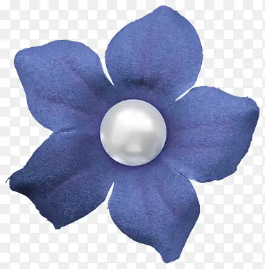 蓝色 珍珠 花朵