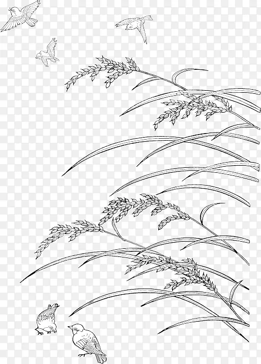 水稻和麻雀线描矢量素材