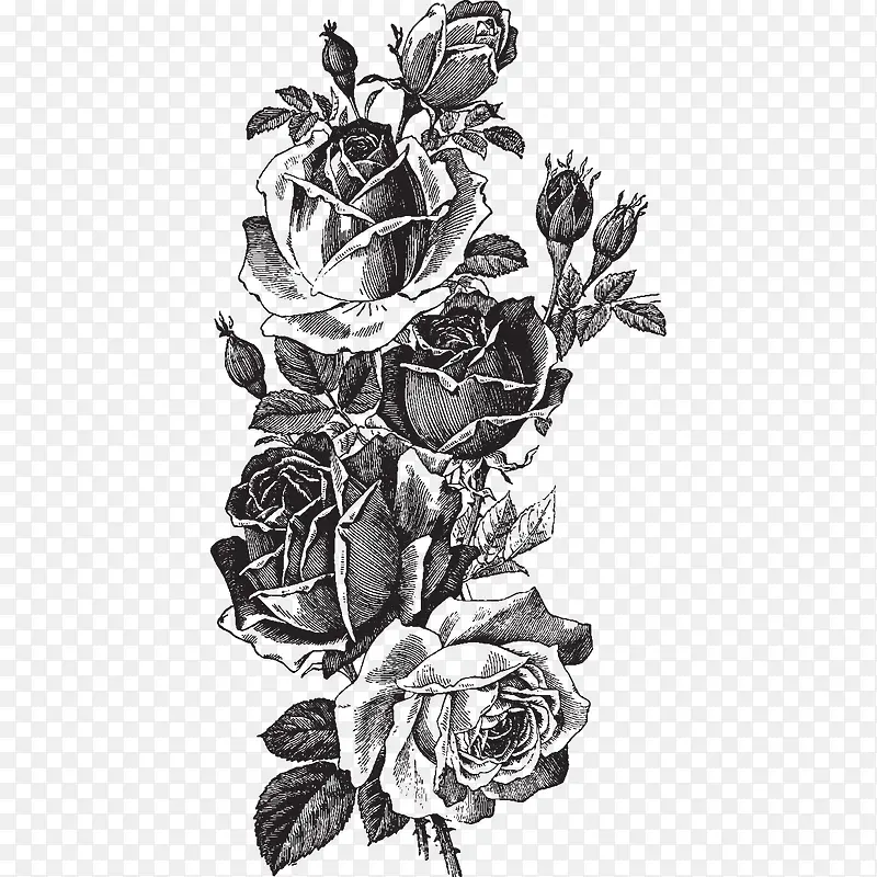 黑白玫瑰素描