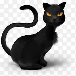 动物动物阿凡达黑色猫斤危险邪恶