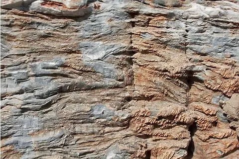 石头 纹理 砂石 岩石 横切面
