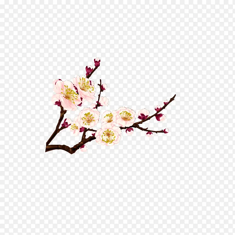 古风免扣白花树枝PNG图片素材下载_图片编号8926708-PNG素材网
