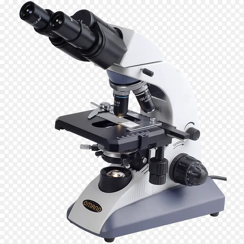 双目显微镜