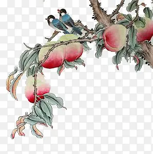 手绘中国风桃子树小鸟水墨画