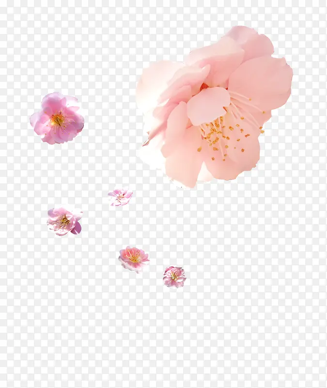 粉色可爱花朵