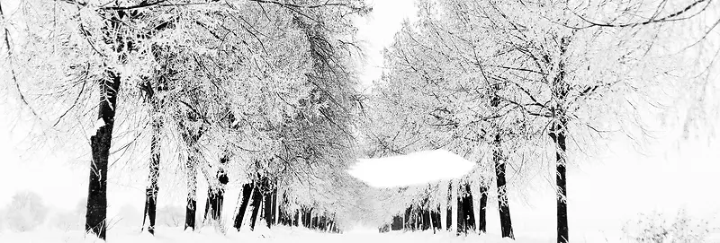 街道树林雪景