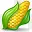 corn icon