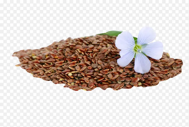 亚麻籽与亚麻籽花图片素材