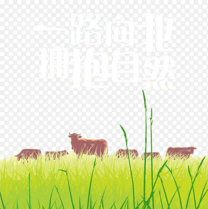 卡通田野