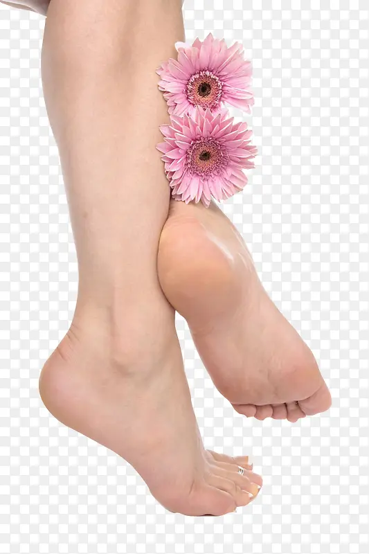 两腿夹着的花朵的图片
