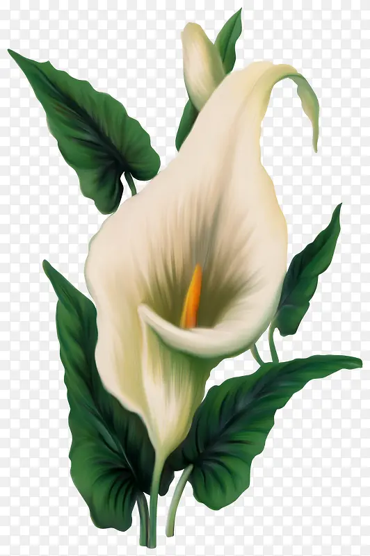 白色鲜花装饰花