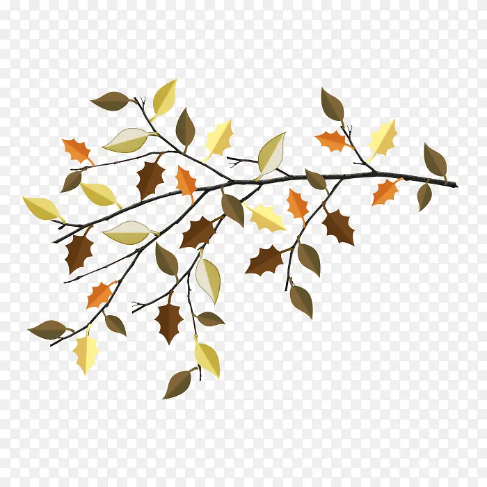 树枝树叶不规则颜色高清图片