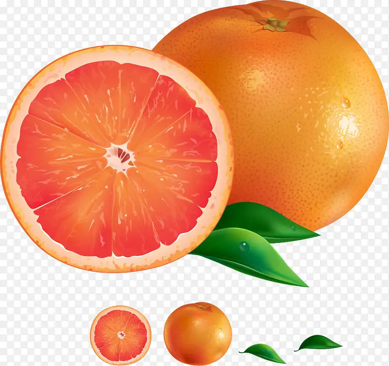 矢量鲜橙