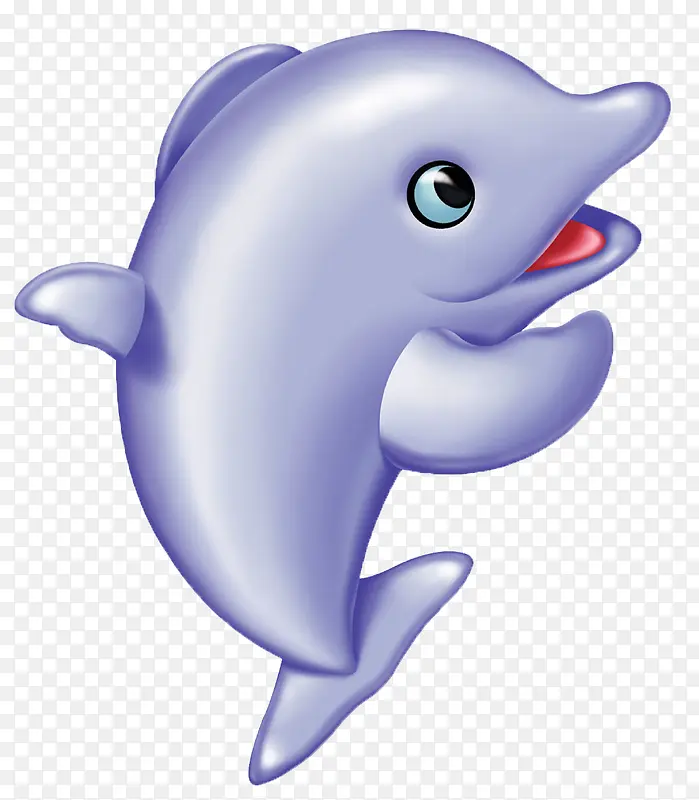 海豚 动物 可爱