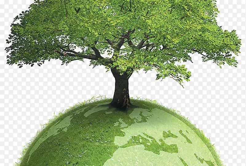 爱护地球保护树木