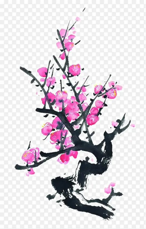腊梅