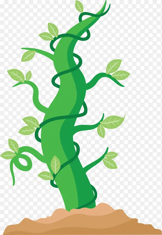 春季绿色藤蔓植物