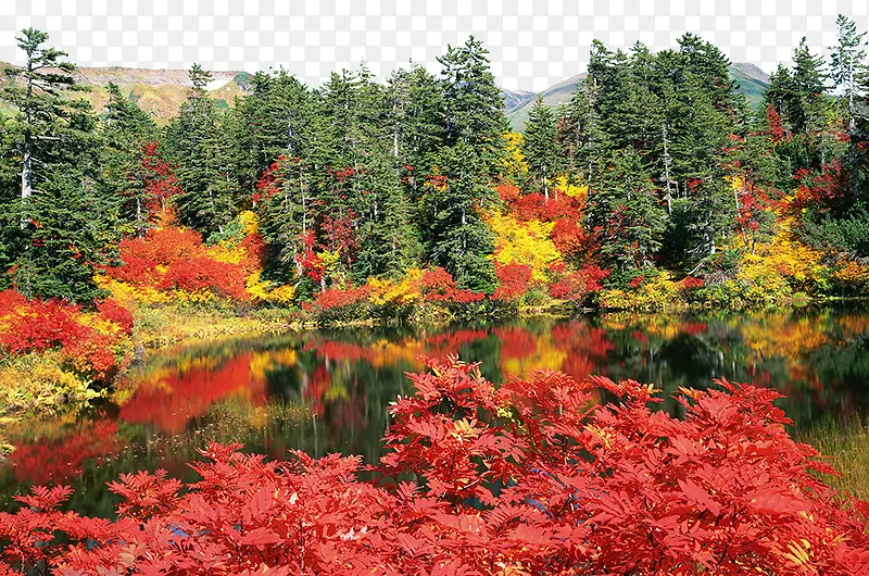 大雪山国立公园秋景