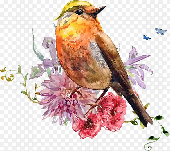 彩绘站在花枝上的鸟