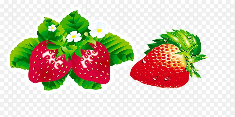 草莓a