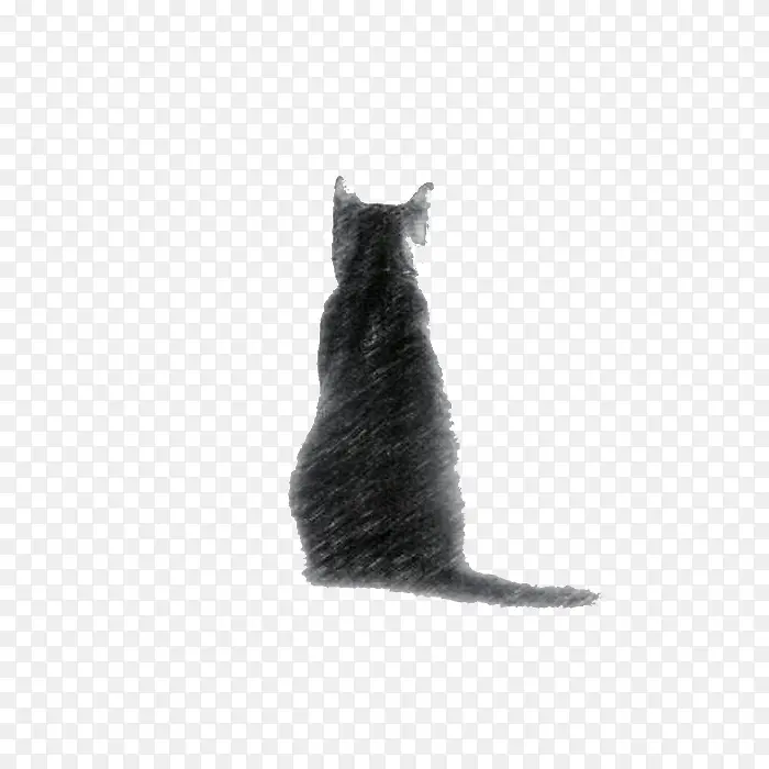 素描风格猫咪孤独的背影图案