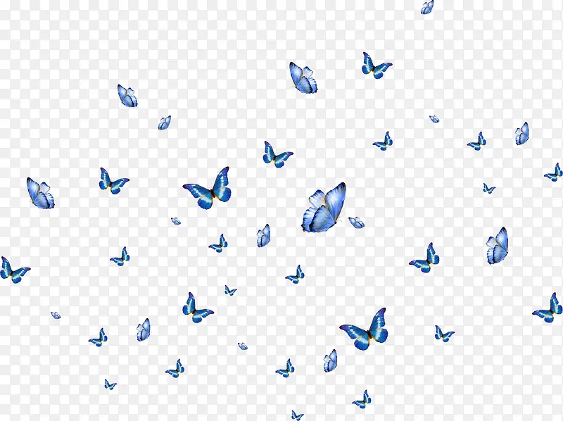 漫天飞舞的蝴蝶