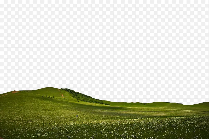 绿色草原