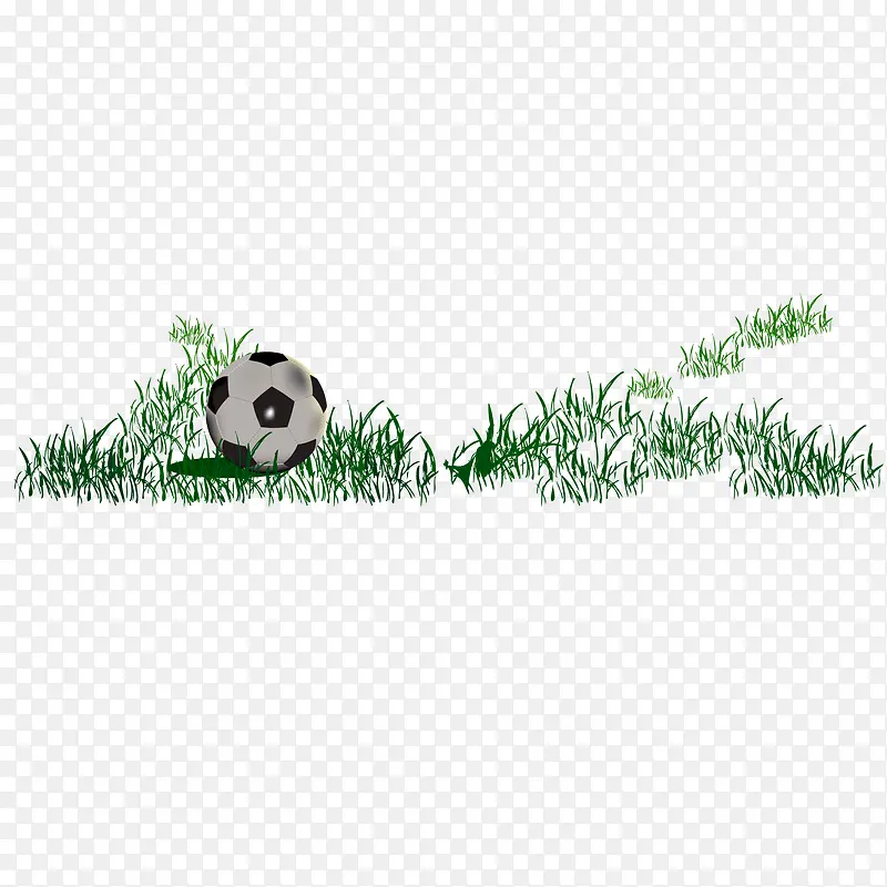 足球草地