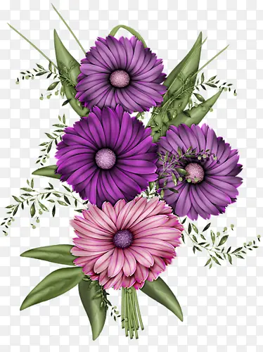 鲜艳的紫色鲜花