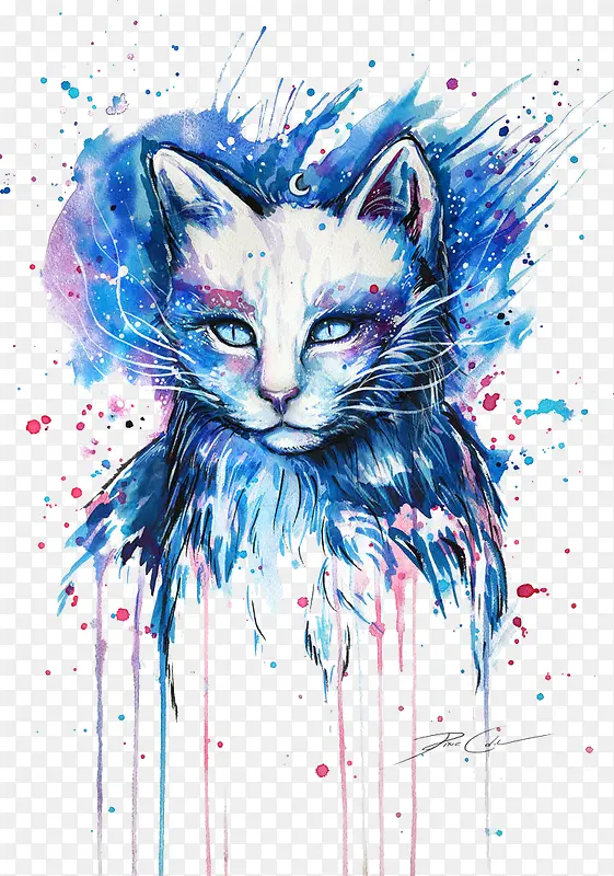 太空猫