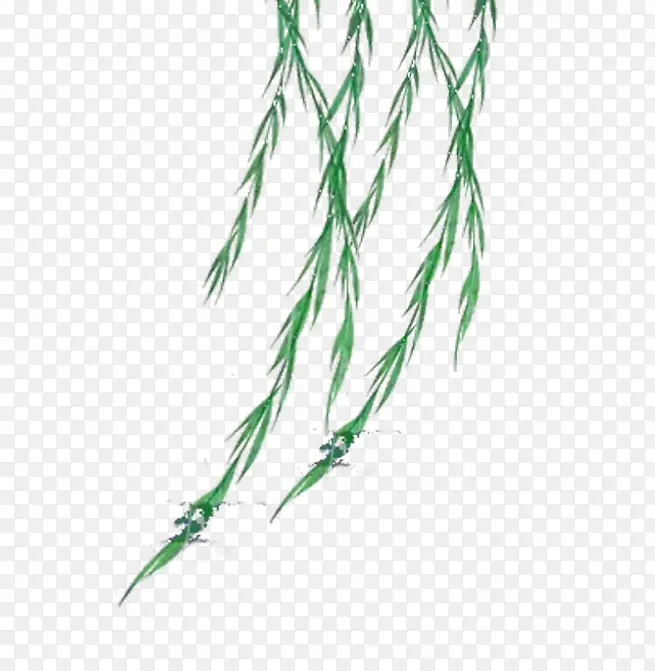 春天植物柳条素材PNG图片素材下载_图片编号9002710-PNG素材网