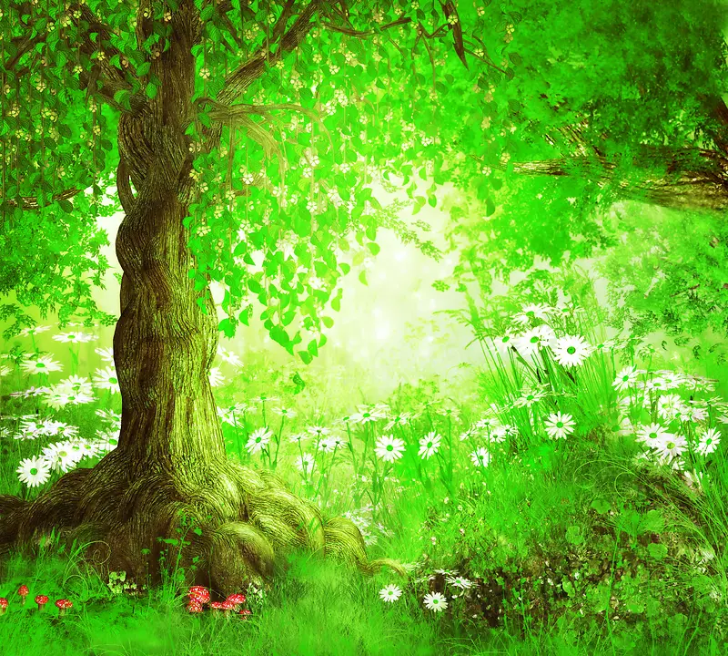 绿色树林风景背景