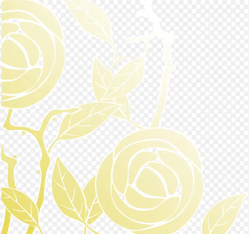 黄色玫瑰背景