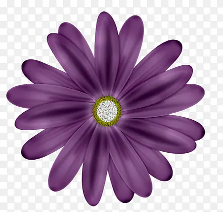 手绘紫色雏菊图片素材