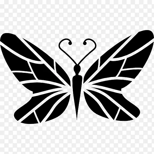 黑色的蝴蝶翅膀上的观点与线路设计图标