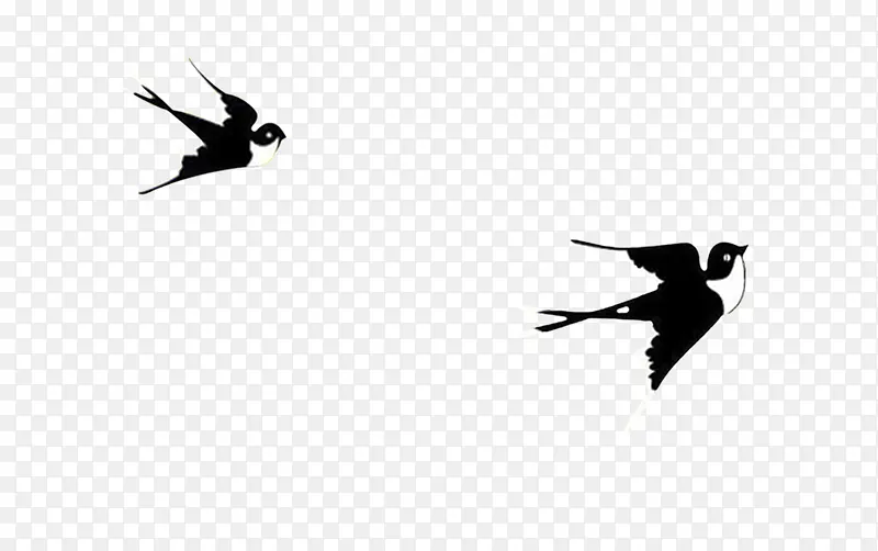 两只燕子成双飞