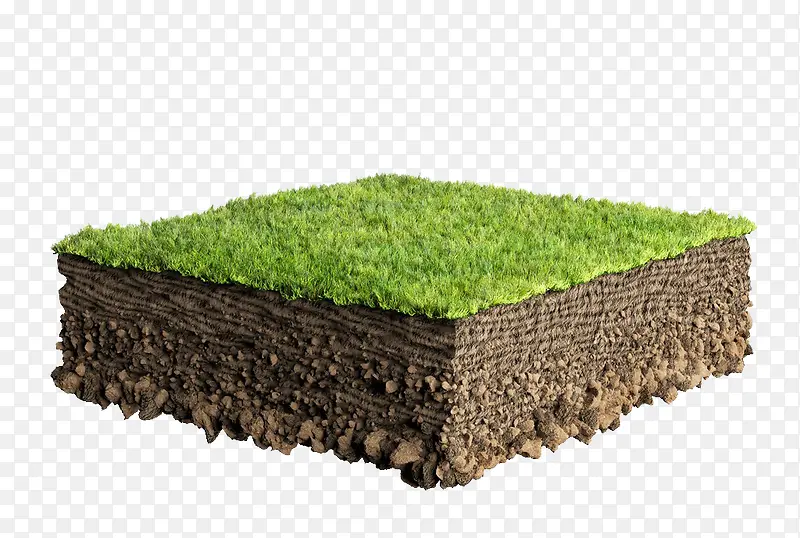 手绘绿色的草地地下的土壤