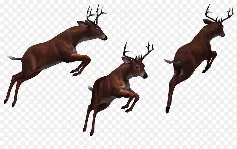 三只飞奔的鹿