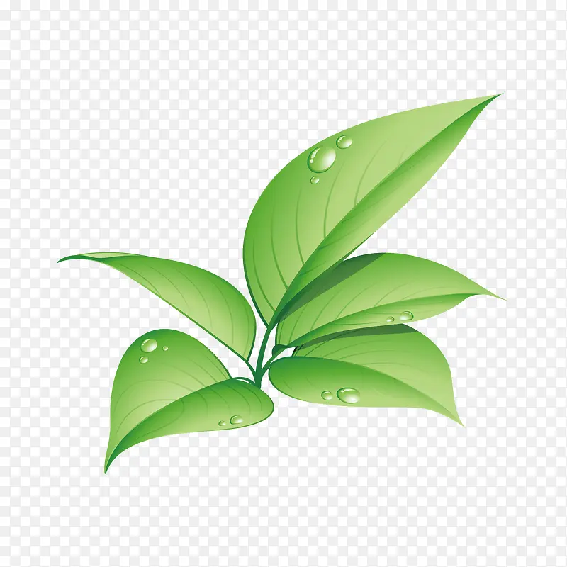 矢量手绘树叶PNG图片素材下载_图片编号9046640-PNG素材网