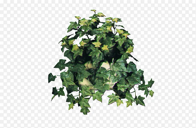 花草素材