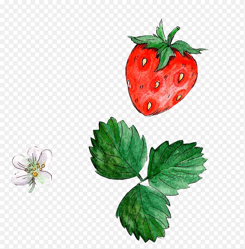 草莓和叶子