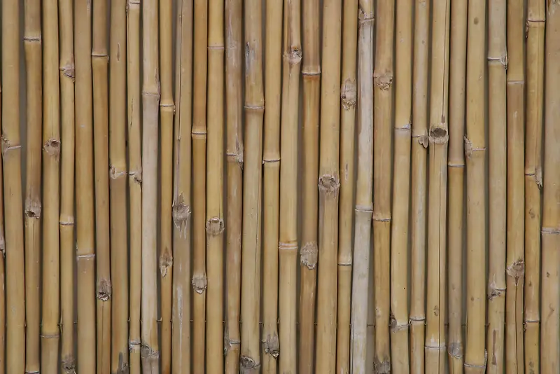 竹子纹理背景