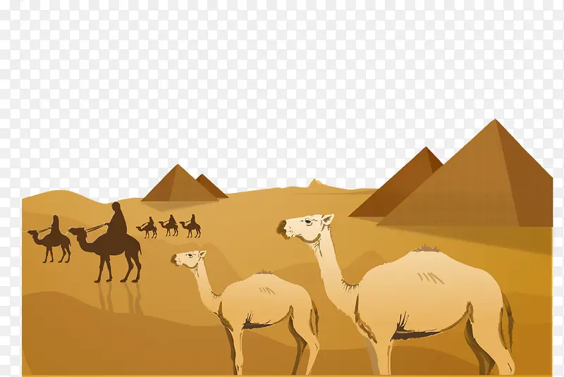 埃及沙漠