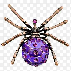 紫色蜘蛛
