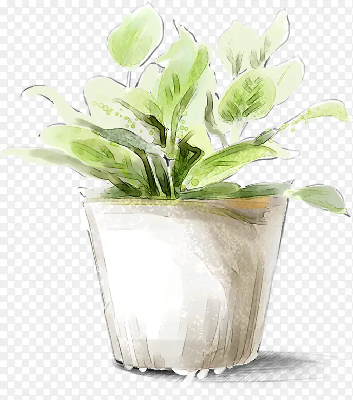 手绘绿色室内植物